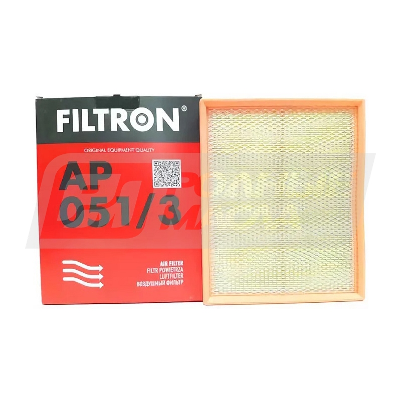 FILTRON AP 051/3 (A-GM 5834281, 5904608040510) AP0513